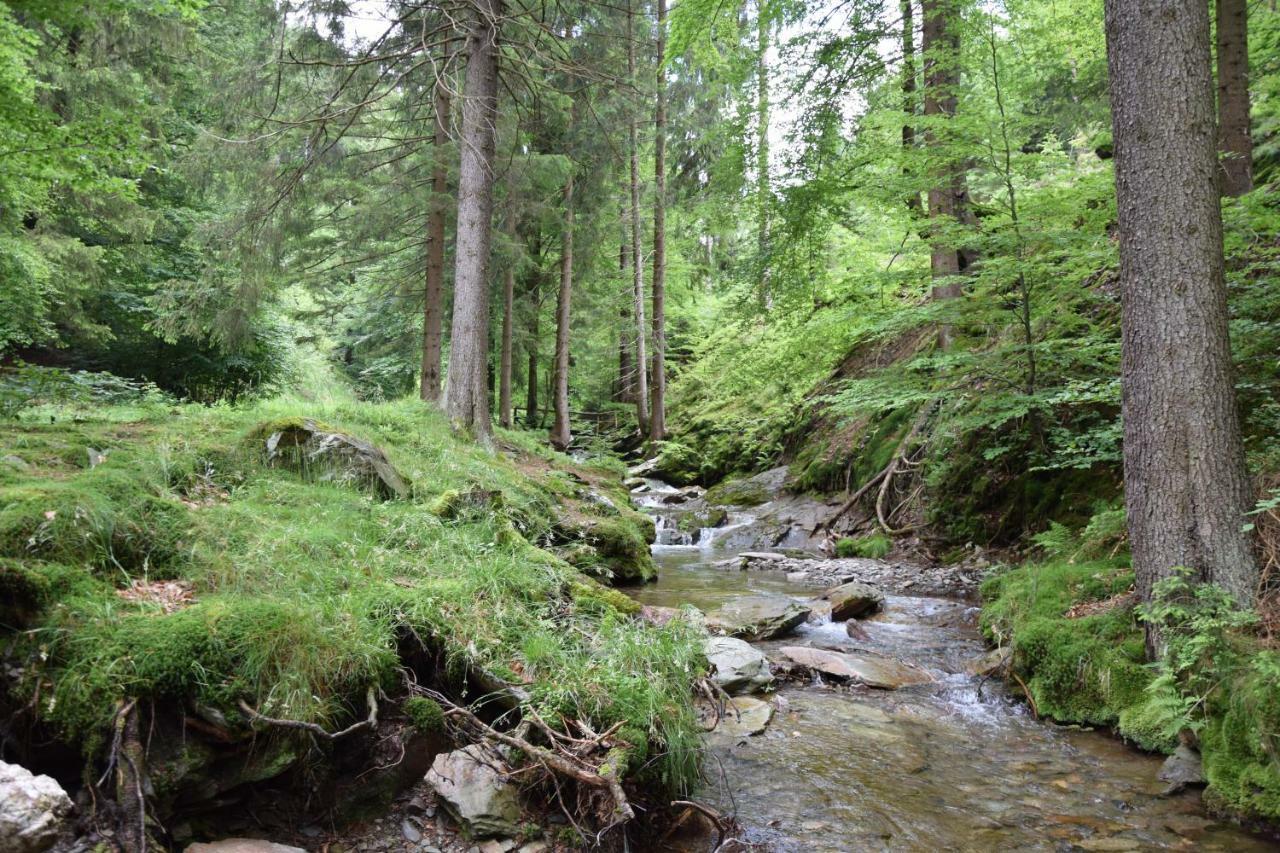Marschalls Hotel Am Rennsteig Neuhaus am Rennweg Dış mekan fotoğraf